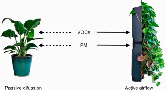 BTEX compounds from the air of indoor environments 